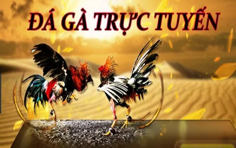 Đá Gà Good88: Cập Nhật Xu Hướng Giải Trí Trực Tuyến Hot Nhất 