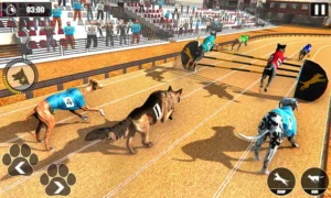 Cập Nhật Cách Chơi Game Đua Chó Nhanh Tại Good88 Hiệu Quả Nhất