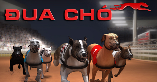 Cập Nhật Cách Chơi Game Đua Chó Nhanh Tại Good88 Hiệu Quả Nhất 